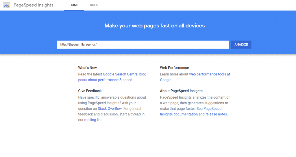 Google Pagespeed Insights Home Page